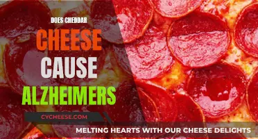 Cheddar Cheese and Alzheimer's: Is There a Link?