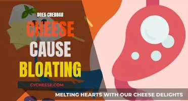 Cheese Conundrum: Cheddar's Bloating Mystery Unveiled