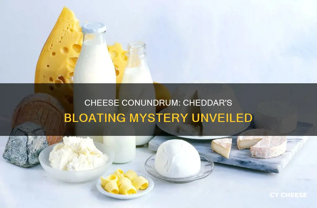 does cheddar cheese cause bloating