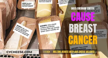 Cheddar Cheese and Breast Cancer: Separating Fact from Fiction