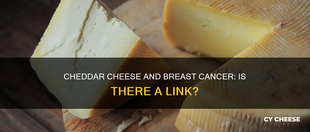 does cheddar cheese cause breast cancer