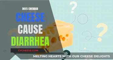 Cheddar Cheese and Diarrhea: Unraveling the Cheesy Conundrum