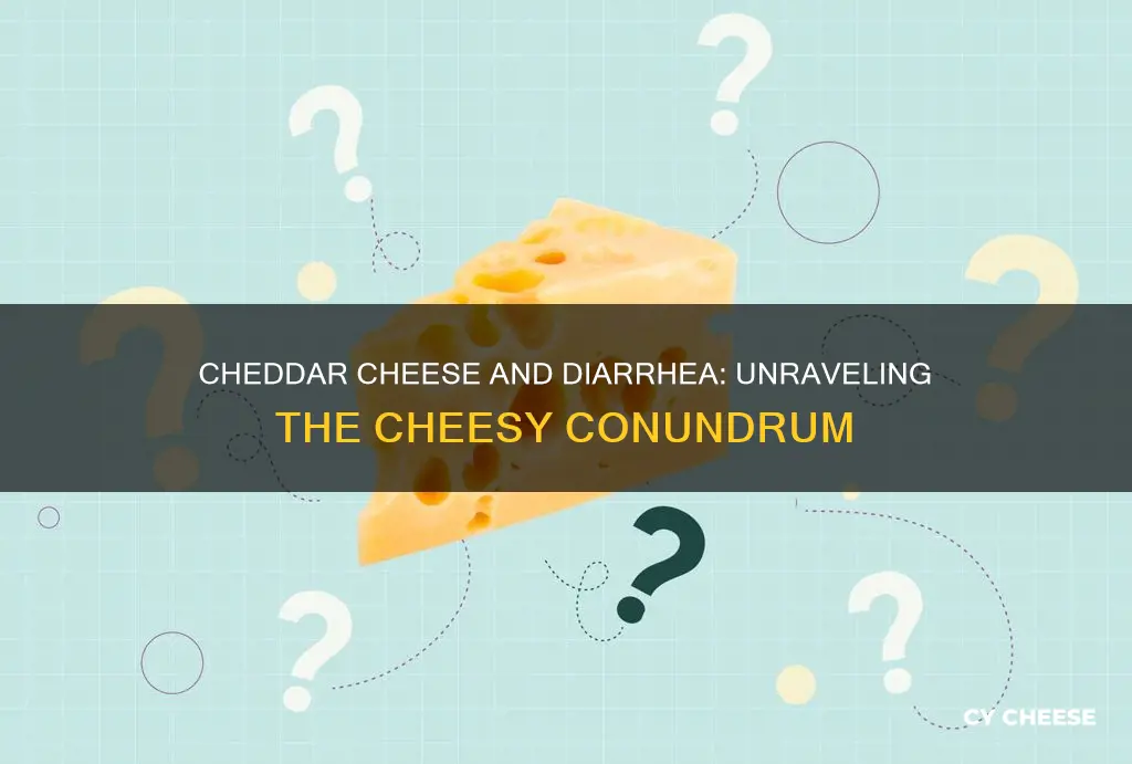 does cheddar cheese cause diarrhea