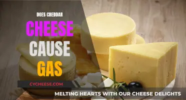 Cheddar Cheese and the Gas Conundrum: Unraveling the Mystery