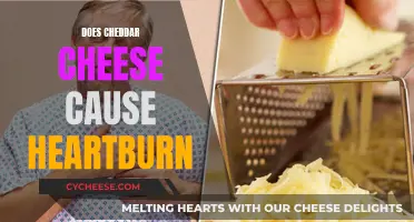 Cheese and Heartburn: Unraveling the Cheddar Mystery