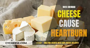 Cheddar Cheese and Heartburn: What's the Connection?