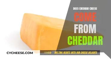 Unveiling the Cheddar Mystery: Fact or Fiction?