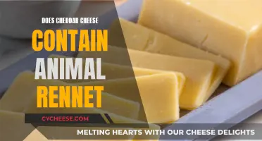 Cheddar Cheese: Animal Rennet's Role Explored