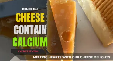 Uncovering Cheddar's Calcium: A Tasty Bone to Pick?