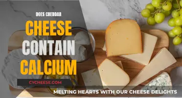 Cheddar Cheese and Calcium: What's the Connection?
