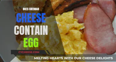 Cheddar Cheese: A Surprising Egg-Free Delight