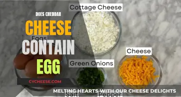 Cheddar Cheese and Egg: What's the Connection?
