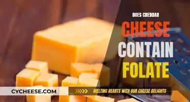 Cheddar Cheese: Folate Content and Nutritional Insights