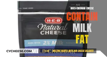 Unveiling Cheddar's Secret: Does It Contain Milk Fat?