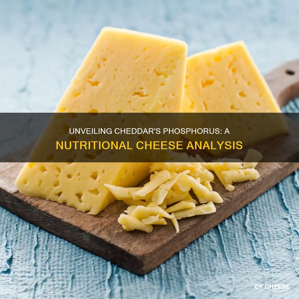 does cheddar cheese contain phosphorus