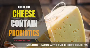 Uncovering the Probiotic Potential of Cheddar Cheese