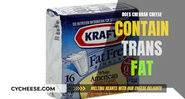 Cheddar Cheese: Trans Fat Truths Unveiled