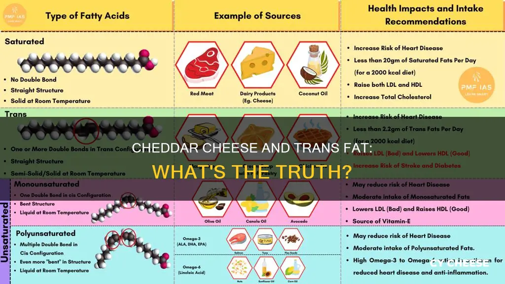 does cheddar cheese contain trans fat