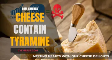 Cheddar Cheese: Tyramine Truths Unveiled