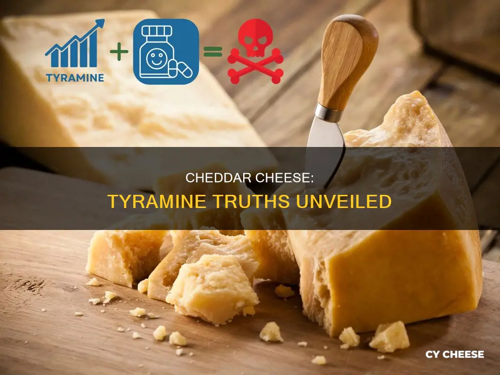 does cheddar cheese contain tyramine