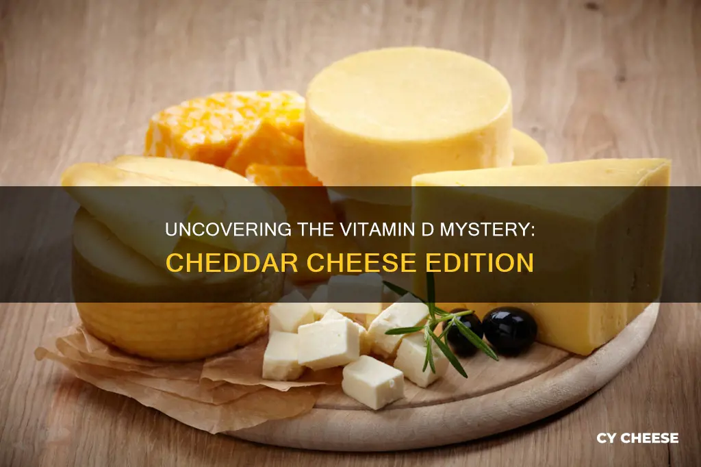 does cheddar cheese contain vitamin d