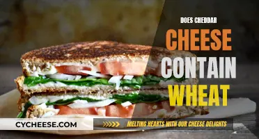Cheddar Cheese and Wheat: What's the Connection?