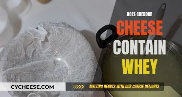 Cheddar Cheese: Unraveling the Mystery of Whey Content