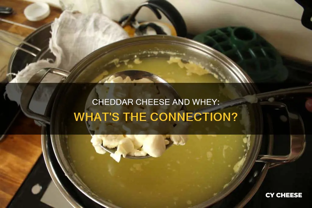 does cheddar cheese contain whey