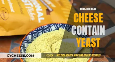 Cheddar Cheese and Yeast: What's the Connection?