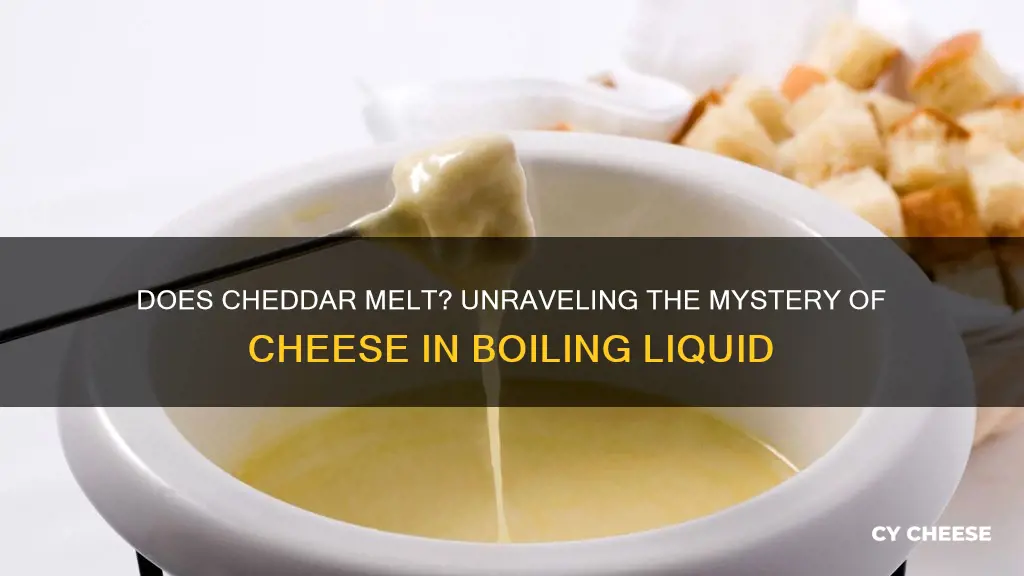 does cheddar cheese dissolve in liquid boiling