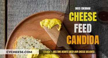 Cheddar Cheese and Candida: Unraveling the Mystery