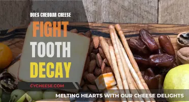 Cheese and Decay: Cheddar's Surprising Dental Defense