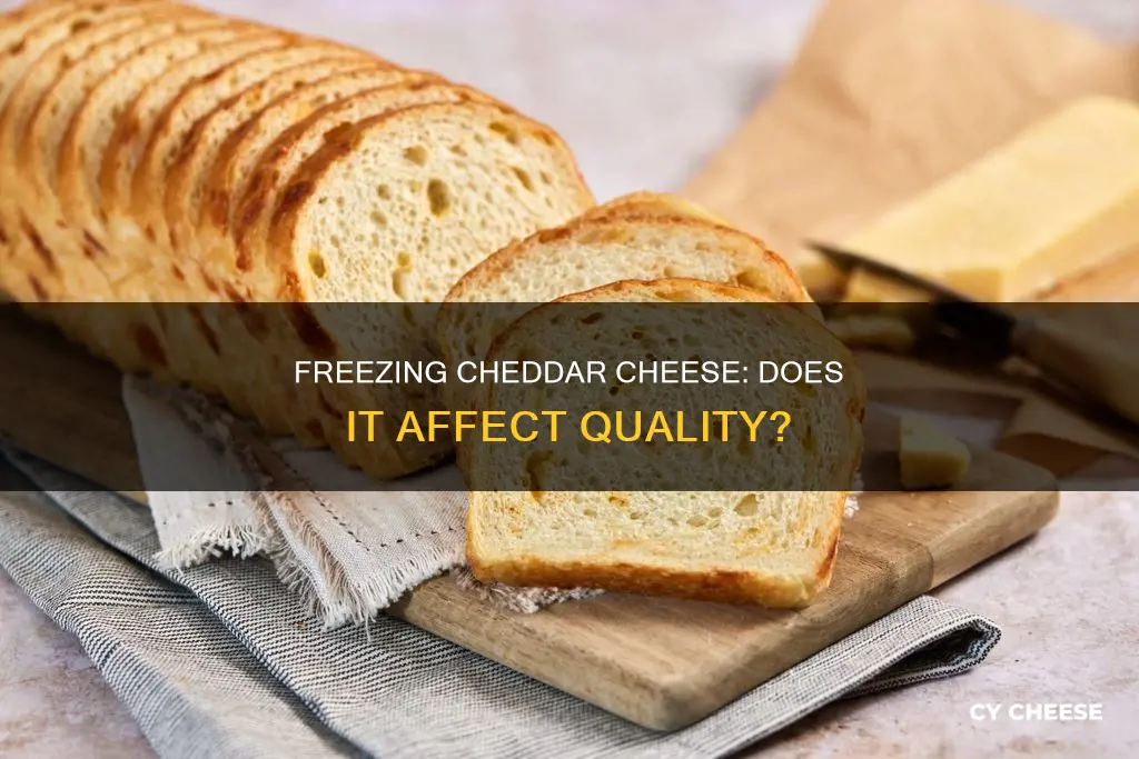 does cheddar cheese freeze well