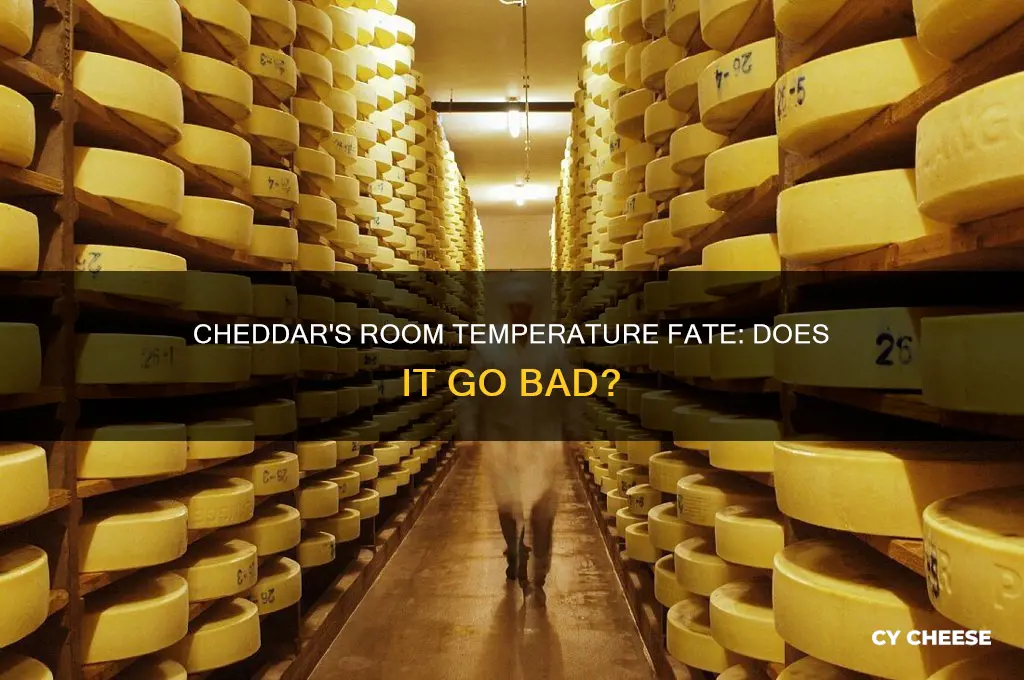 does cheddar cheese go bad at room temperature