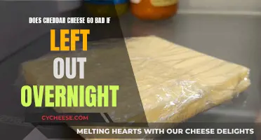 Cheddar's Nighttime Survival: Can It Stay Fresh After a Night Out?