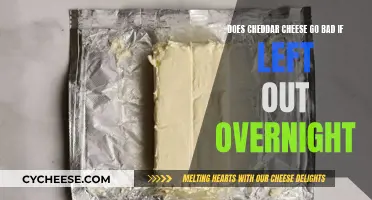 Cheddar Cheese Left Out Overnight: Safe or Not?