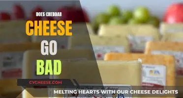 The Cheddar Conundrum: Does It Ever Go Bad?