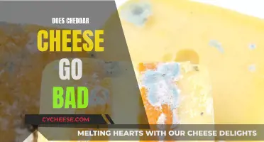 Cheddar Cheese: How Long Does It Last?