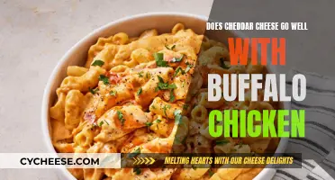 Cheddar and Buffalo Chicken: A Match Made in Heaven?