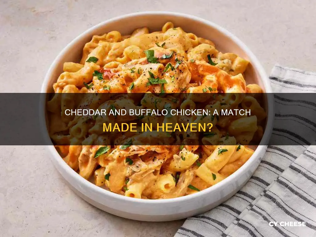 does cheddar cheese go well with buffalo chicken