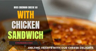 The Cheddar-Chicken Sandwich Duo: A Tasty Match or a Culinary Misstep?