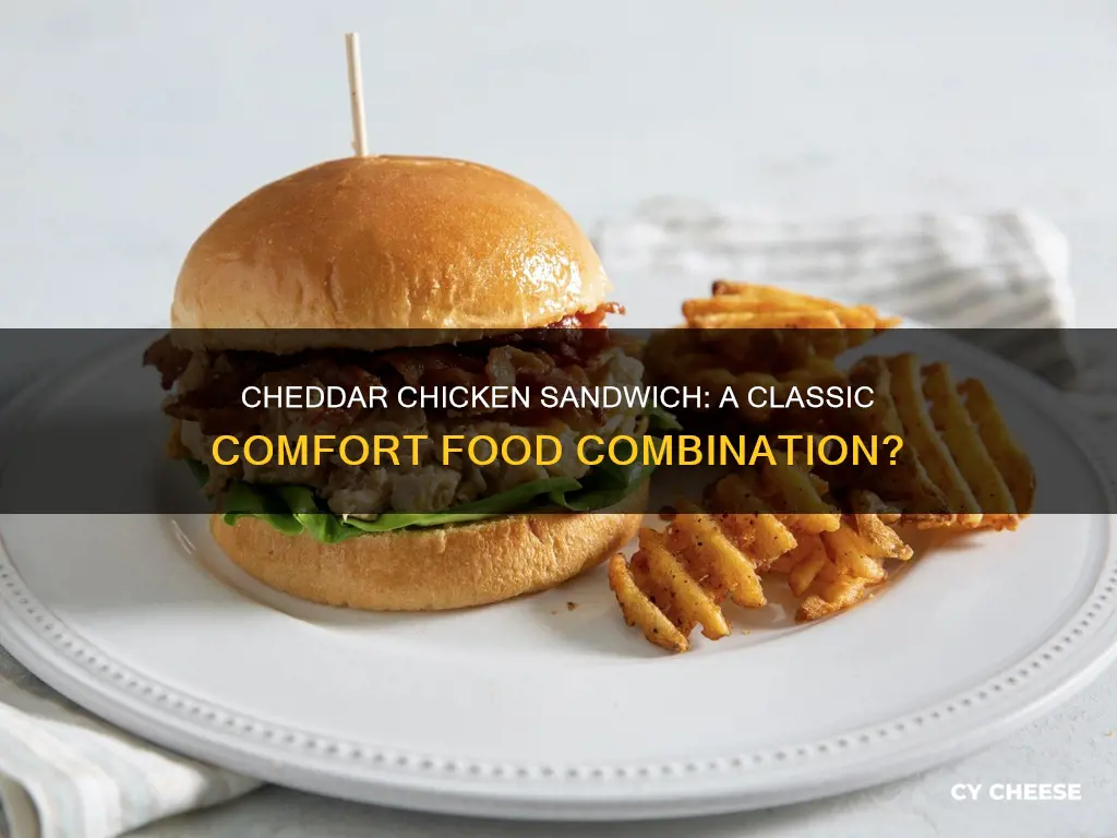 does cheddar cheese go with chicken sandwich