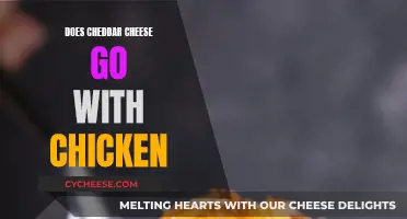 The Cheddar-Chicken Match: A Tasty Pairing or a Culinary Misstep?