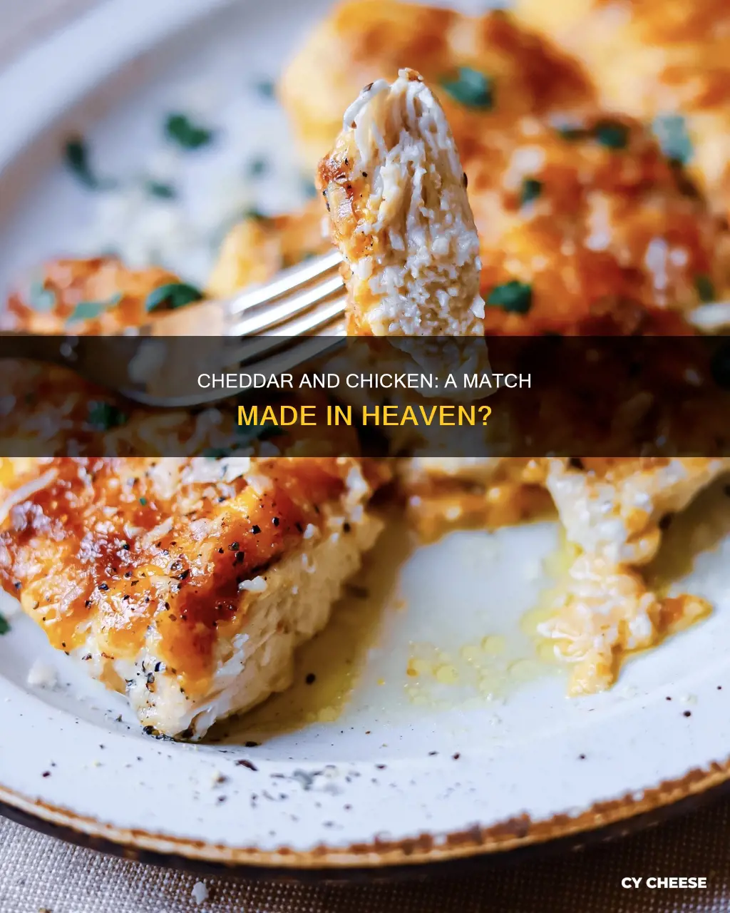 does cheddar cheese go with chicken