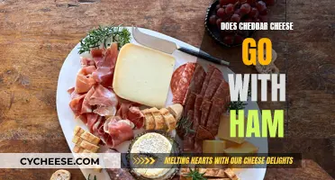 Cheddar Cheese and Ham: A Tasty Match or a Culinary Clash?