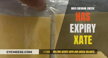 Cheese Expiration: Cheddar's Shelf Life Unveiled