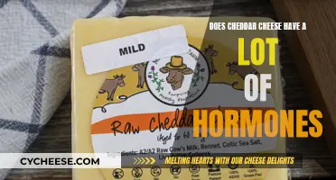 Cheddar Cheese: Hormone-Free or Hormone-Heavy?