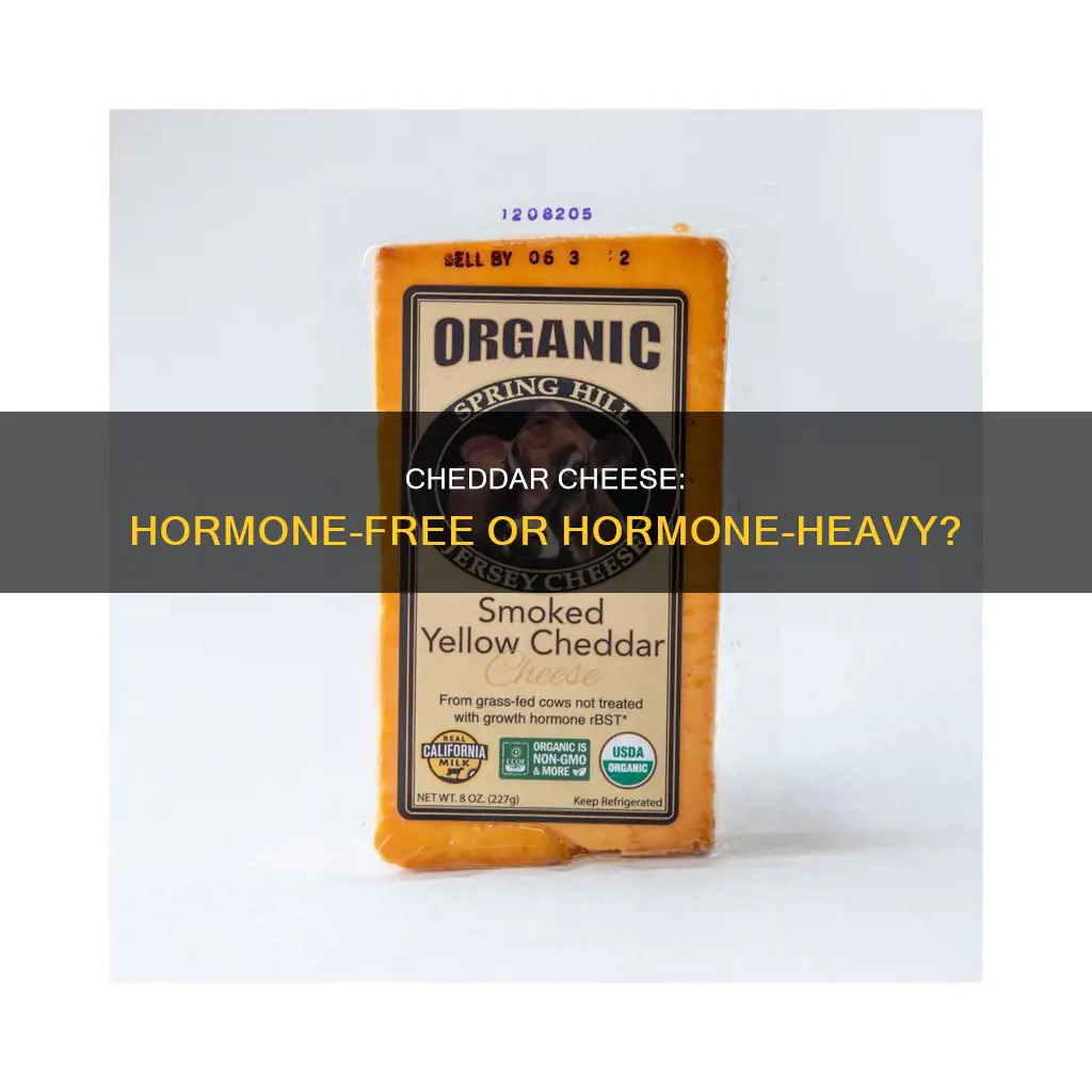 does cheddar cheese have a lot of hormones