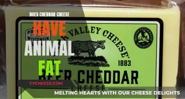 Cheddar Cheese: Animal Fat Content Explained