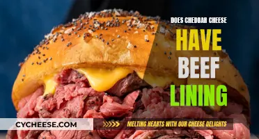 Cheddar's Beefy Surprise: Unveiling the Lining Mystery